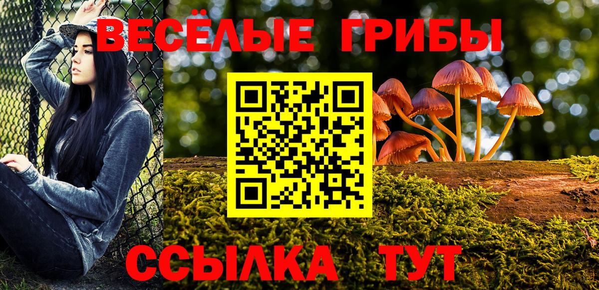 Галлюциногенные грибы Cubensis Краснотурьинск