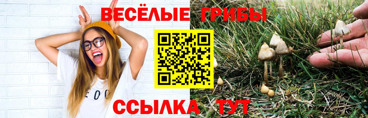 Краснотурьинск  Галлюциногенные грибы мухоморы  Галлюциногенные грибы Psilocybine cubensis  Вход с VPN 